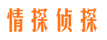 蓝山市婚姻调查